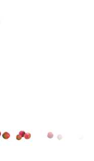 Screen-Shot-2019-01-05-at-8.19.49-AM-300x175.png
