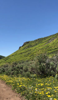 Trail-300x181.jpg