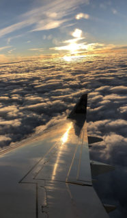Wing-193x300.jpg