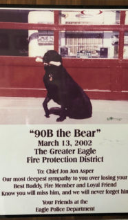 Bear-215x300.jpg